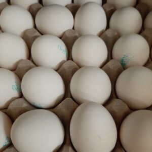 Eggs Foodland Ontario